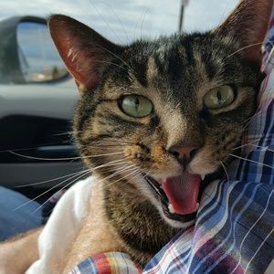 Meet your Posher, Jackie